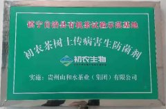 鎮寧自治縣有機茶試驗示范基地