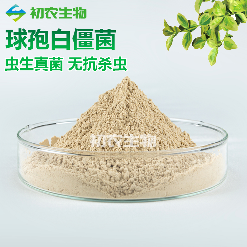 白僵菌（蟲(chóng)生真菌類）